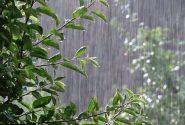 تأمین ۳۷.۷ درصدی بارش سال آبی جاری در آذربایجان شرقی￼