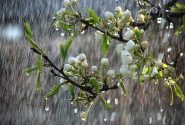 رگبار باران آذربایجان‌شرقی را فرا می‌گیرد
