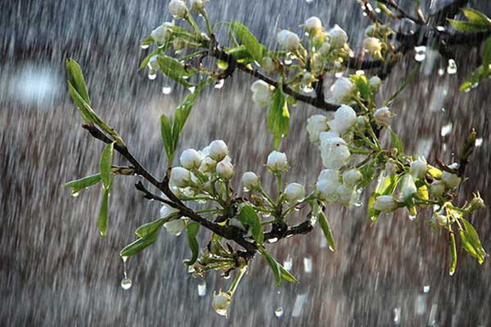 رگبار باران آذربایجان‌شرقی را فرا می‌گیرد