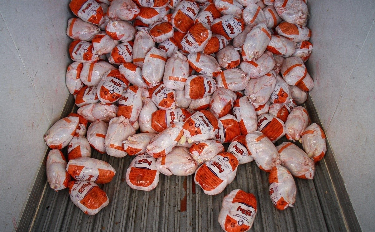 افزایش توزیع مرغ گرم در بازارهای آذربایجان‌شرقی