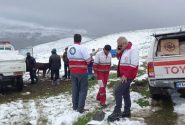 عشایر ۷ شهرستان آذربایجان شرقی درگیر برف شدند/تلف شدن ۲۵۰ راس دام سبک