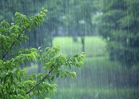 بارش باران در اغلب استان‌های کشور/ خیزش گرد و خاک در نوار شرقی
