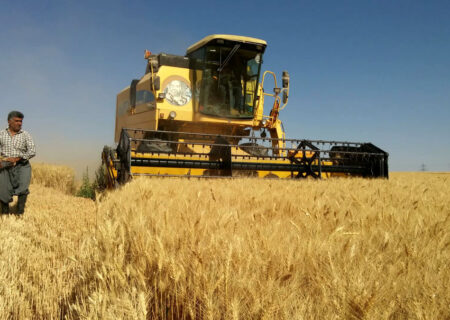 افزایش ۶۴ درصدی خرید گندم در سطح آذربایجان شرقی