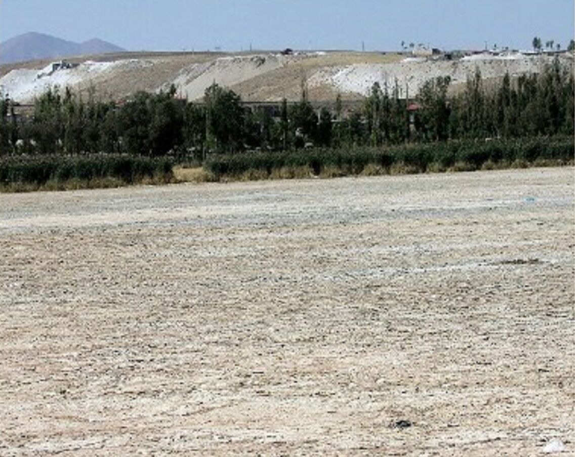 قوری گل رمق‌های آخر را می‌زند