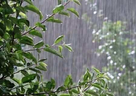 بارش باران در برخی مناطق کشور