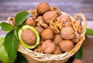 صادرات گردو آذربایجان‌شرقی به حوزه خلیج فارس، آسیا میانه و روسیه
