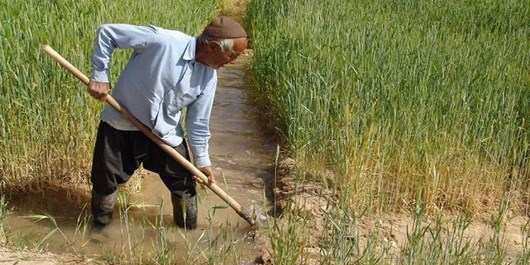 طرح حمایتی بخشودگی عام ۶ درصد وجه التزام بدهی کشاورزان آذربایجان شرقی