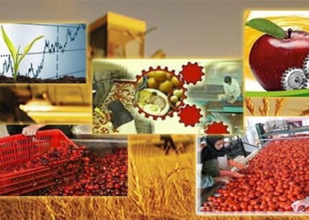 یک هزار و ۸۰ میلیارد ریال برای ۱۶ طرح صنایع تبدیلی در آذربایجان شرقی پرداخت شد