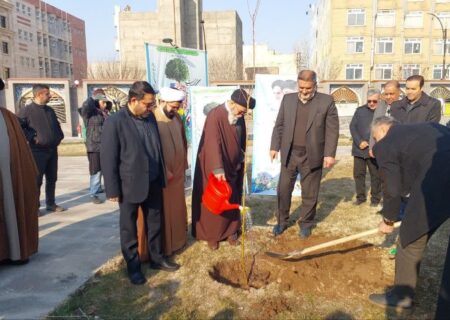 امام جمعه تبریز : مشارکت مردمی در درختکاری نشانه توجه به محیط زیست است