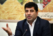 تولید ۲۰ میلیون نهال در آذربایجان شرقی طی سال جاری