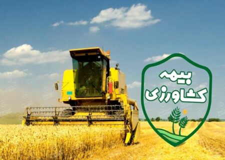 دولت برای هر روستایی در قالب صندوق بیمه اجتماعی یارانه می دهد