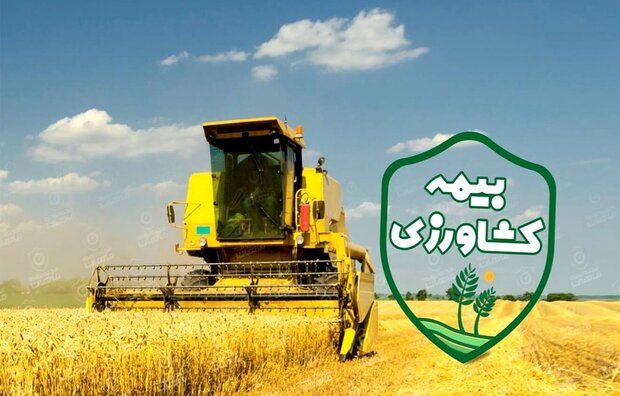 دولت برای هر روستایی در قالب صندوق بیمه اجتماعی یارانه می دهد