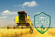 صندوق بیمه اجتماعی برای روستاییان۱۸ تا۵۰ سال یارانه پرداخت می‌کند