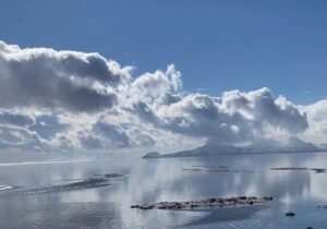 طی ۴ دهه گذشته دریاچه ارومیه ۹۰ درصد کوچک شده