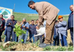 عملیات جنگل‌کاری ۴۰۰ هکتاری مس سونگون در ارسباران آغاز شد