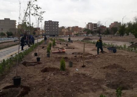 کاشت ۱۰۰ اصله درخت در بوستان باغشمال تبریز