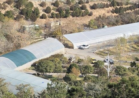 گلخانه نهالستان تفرجگاه عینالی مرمت و بهسازی شد