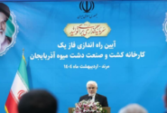 عارف: اجازه نمی‌دهیم موانعی بر سر راه تولیدکنندگان ایجاد شود