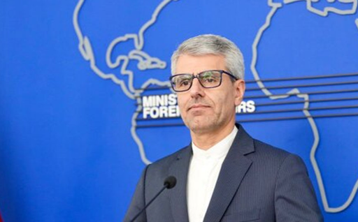 بقائی: دولت‌های حامی رژیم اشغالگر عامل اصلی “بی‌کیفرمانی” جنایات هستند
