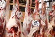 نظارت ۷۸ گروه دامپزشکی در آذربایجان شرقی بر ذبح دام عید قربان