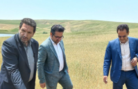 خسارت ۲۹۰۰ میلیارد تومانی تگرگ، سرما و خشکسالی به کشاورزان هشترود