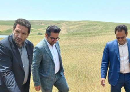 خسارت ۲۹۰۰ میلیارد تومانی تگرگ، سرما و خشکسالی به کشاورزان هشترود