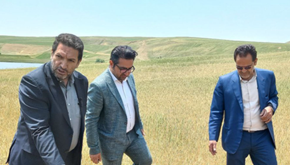 خسارت ۲۹۰۰ میلیارد تومانی تگرگ، سرما و خشکسالی به کشاورزان هشترود