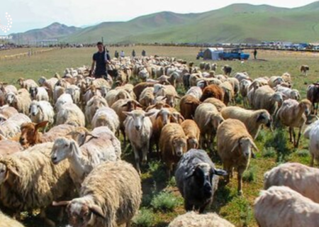 آغاز کوچ بهاره به مناطق ییلاقی آذربایجان‌ شرقی