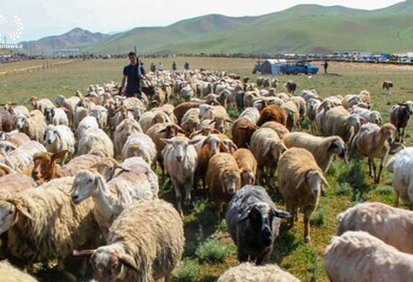 آغاز کوچ بهاره به مناطق ییلاقی آذربایجان‌ شرقی