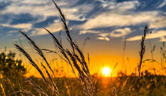 هشدار بارش‌های موسمی در ۳ استان؛ افزایش دمای نامتعارف در راه است