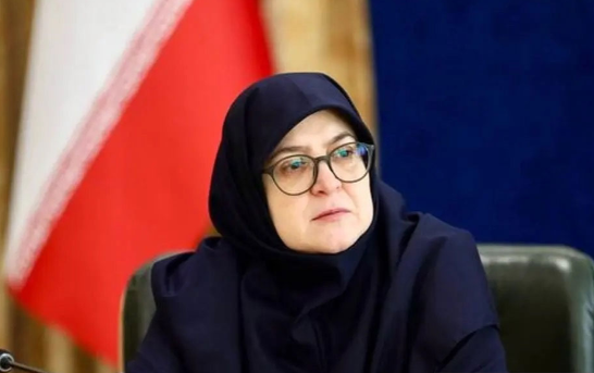 تا زمانی که نیاز باشد اقدام تنبیهی رژیم صهیونیستی ادامه پیدا خواهد کرد