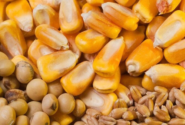 بهره برداری از واحد تولید خوراک دام و طیور در سراب