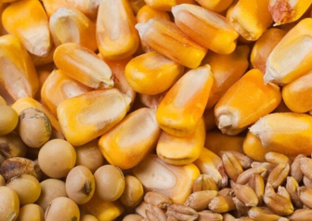 بهره برداری از واحد تولید خوراک دام و طیور در سراب