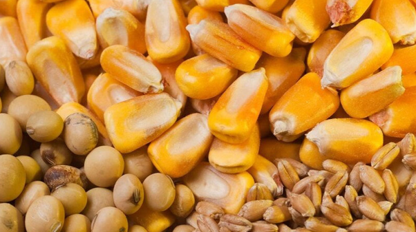 بهره برداری از واحد تولید خوراک دام و طیور در سراب