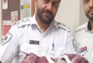 برخاستن نغمه زندگی از دل یک آمبولانس