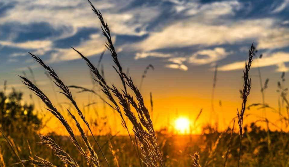 تداوم شدت گرما تا نیمه پاییز؛ دمای ایران بیش از ۱.۲ درجه افزایش یافت