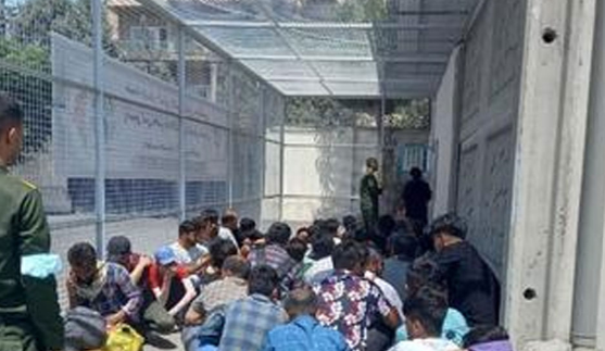 جمع آوری ۶۶ نفر از اتباع غیرمجاز در مرند