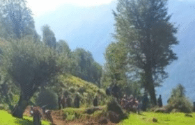 کشف جاده غیرمجاز هشت کیلومتری در جنگل‌ های گیلان