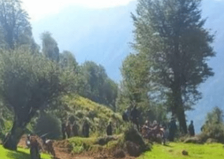 کشف جاده غیرمجاز هشت کیلومتری در جنگل‌ های گیلان