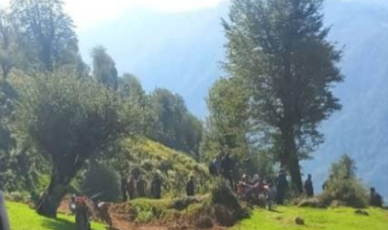 کشف جاده غیرمجاز هشت کیلومتری در جنگل‌ های گیلان