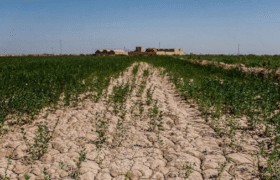 خشکسالی مداوم و گسترده را باید به عنوان یک واقعیت بپذیریم