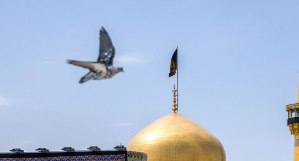 حرم رضوی در سوگ پیامبر (ص) سیاه‌ پوش شد
