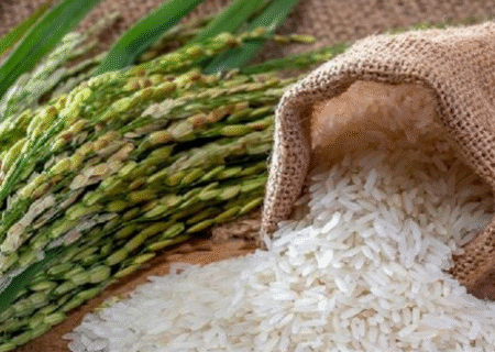 برندسازی برای برنج یک ضرورت است