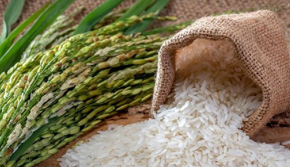 برندسازی برای برنج یک ضرورت است