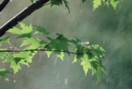 کاهش ۳۰.۵ درصدی بارش در آذربایجان‌ شرقی