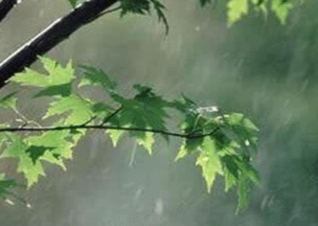 کاهش ۳۰.۵ درصدی بارش در آذربایجان‌ شرقی