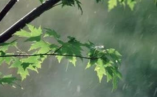 کاهش ۳۰.۵ درصدی بارش در آذربایجان‌ شرقی