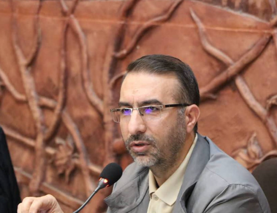 سیاست شکست‌خورده در برخورد با سگ‌های بلاصاحب؛ چرخه ناقص زنده‌گیری تا رهاسازی