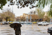 بارش باران در نوار شمالی کشور