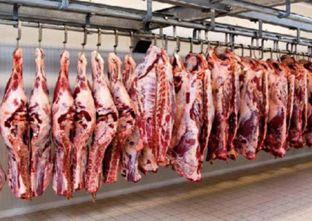 توزیع گوشت وارداتی با قیمت زیر ۷۰۰ هزار تومان از هفته آینده